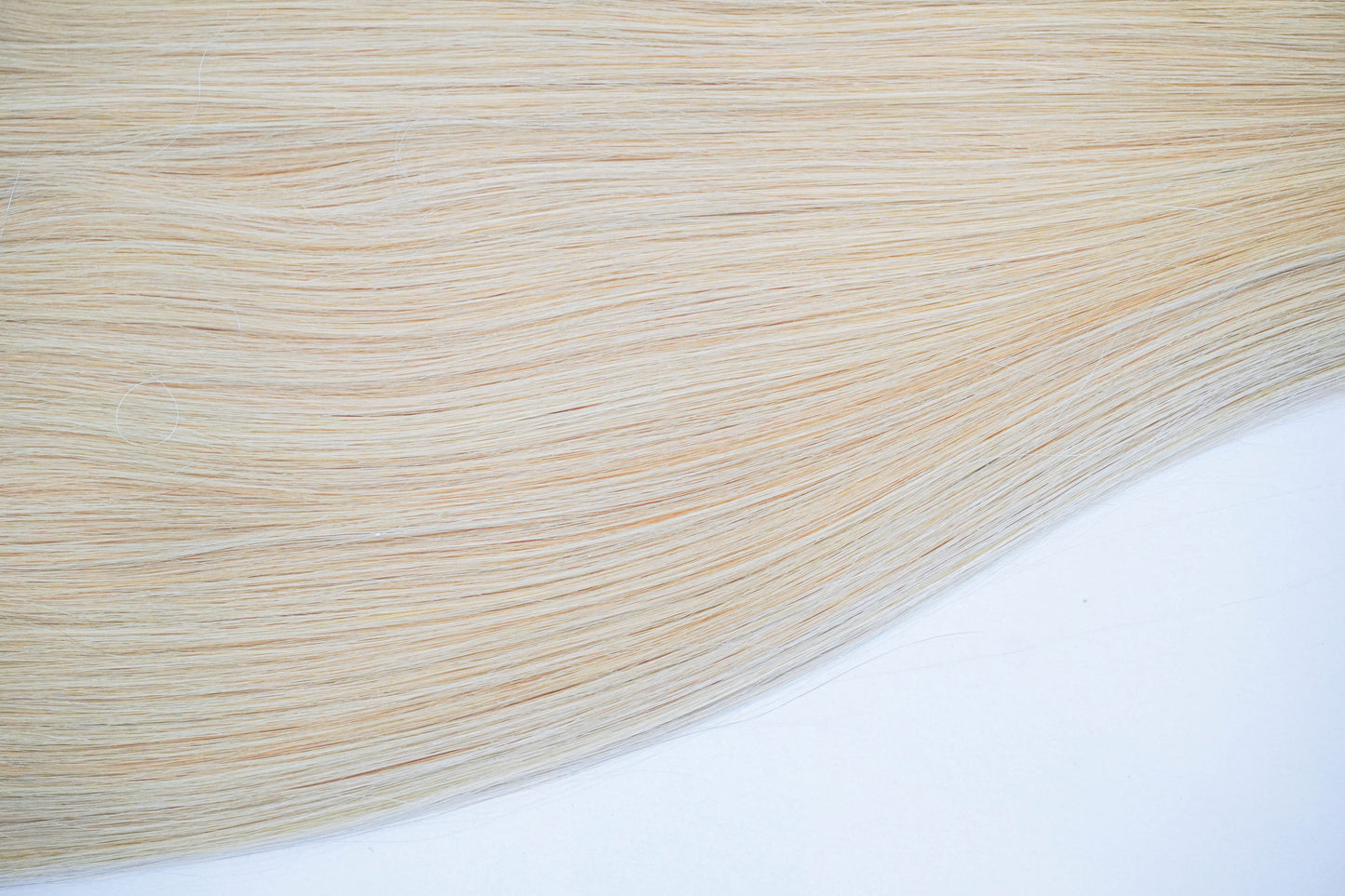 #1001 - Iced Vanilla