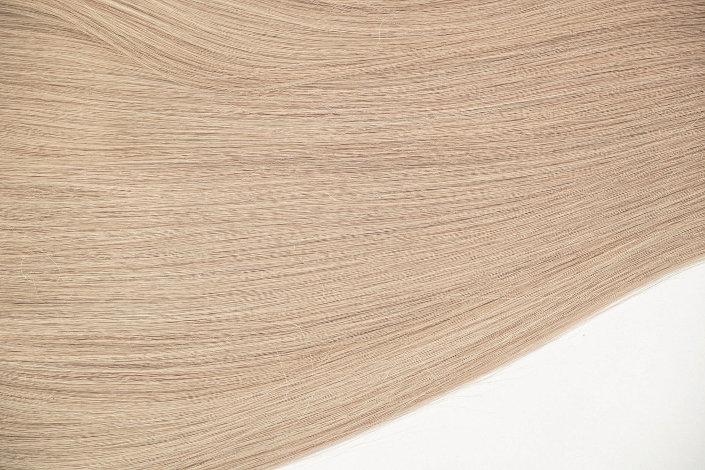 #18 - Toasted Champagne